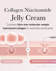 The Science of Anti-Aging: How Collagen Jelly Cream Restores Youthful Glow - Smoother Texture, Plumped Appearance, and Improved Firmness